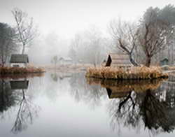 Детокс-винегрет лучше маминых котлет: Современная диета поможет сбросить 3 кг за неделю