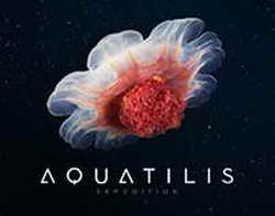 Тигран рвал и метал. Онкобольная Маргарита Симоньян рассказала о потере четвёртого ребёнка