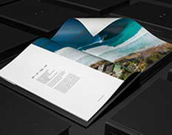 Какой чип лучше Процессоры Intel Core Ultra 9 285K и AMD Ryzen 7 9800X3D сравнили в 12 играх