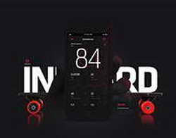 Воры украли картины Ренуара, Сезанна и Матисса в Парме