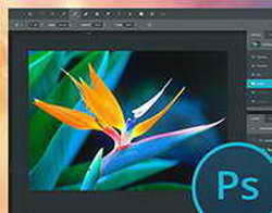 На улице 32, а дома заветные 16: копеечный предмет заменяет кондиционер - так спасаются от жары в жарких странах