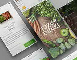 Земной термостат сломался: почему древняя жара оказалась мифом, а наша реальность  угрозой